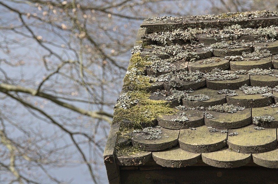 how to remove moss from roof