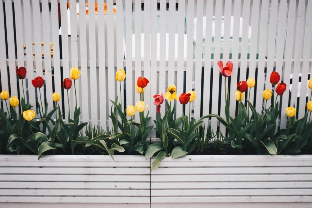 what are the best flowers for a raised flower bed